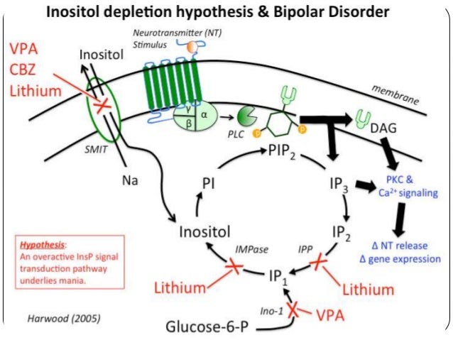 Signal Transduction in Affective Disorders